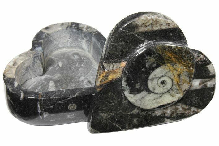 Fossil Goniatite Box (Heart) - Stoneware #123541